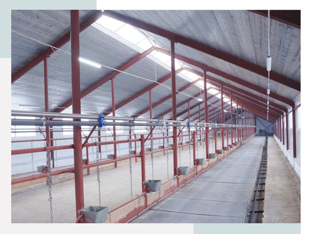 Строительство коровников в Чернушке от 609 руб.