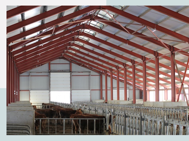 Строительство коровников в Чернушке