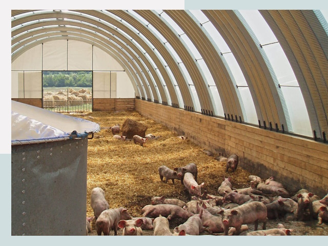 Строительство свинарников в Чернушке