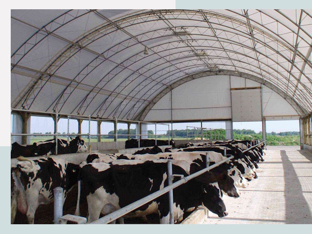 Тентовые коровники в Чернушке